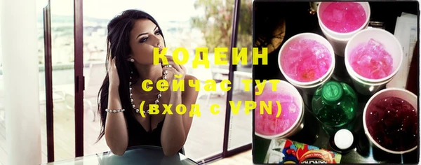 прущий лед Бородино
