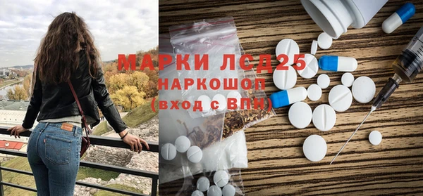 прущий лед Бородино