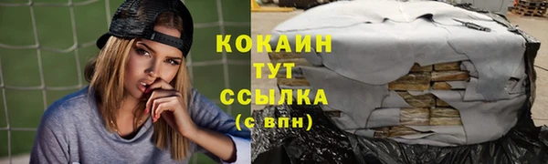 прущий лед Бородино