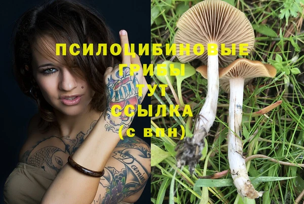 эйфоретик Бронницы