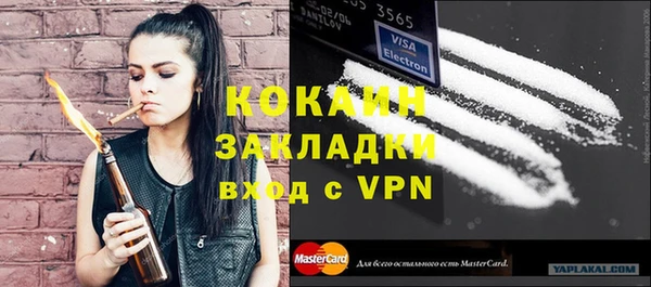 прущий лед Бородино