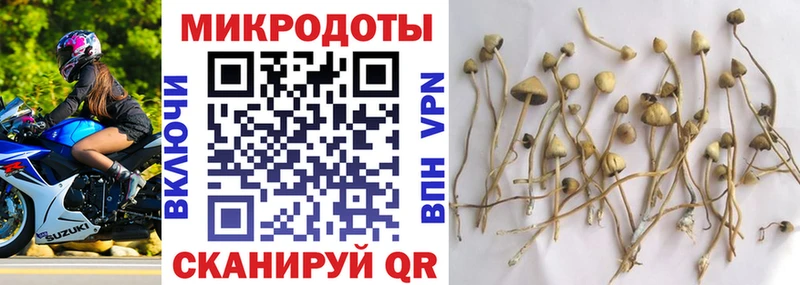Галлюциногенные грибы мицелий  Мураши 