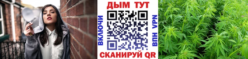 сколько стоит  Мураши  это наркотические препараты  Шишки марихуана Bruce Banner 